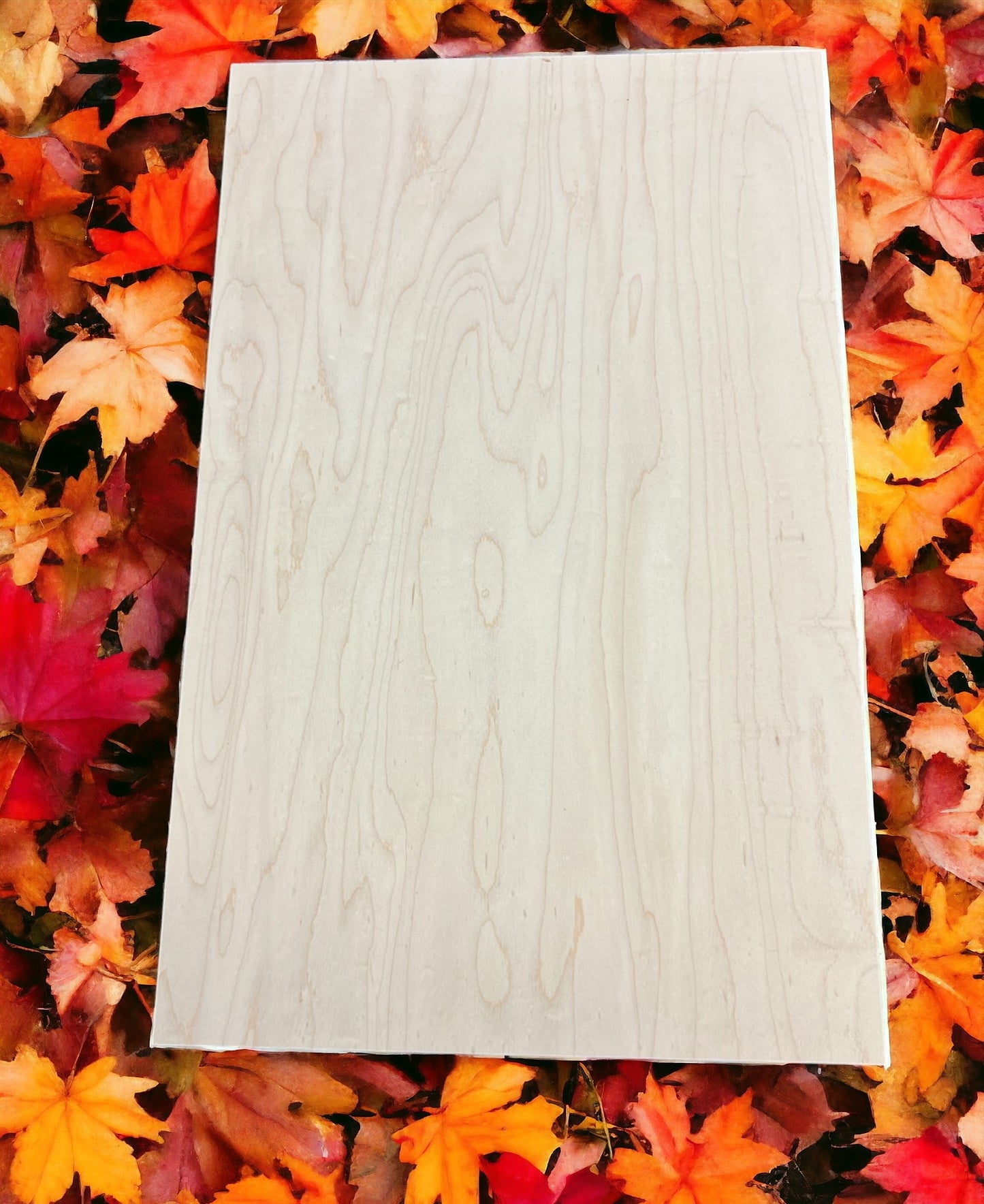 1/4" Maple - MDF Core