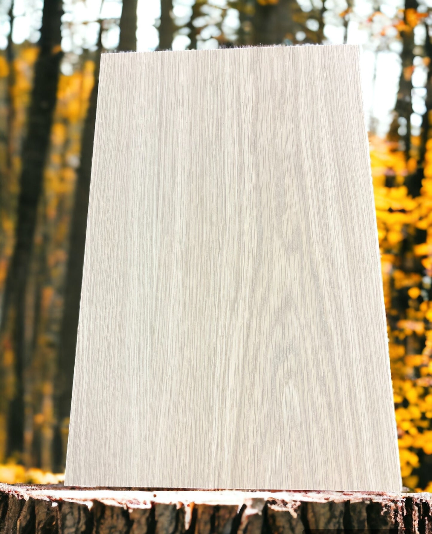 1/4" White Oak - MDF Core